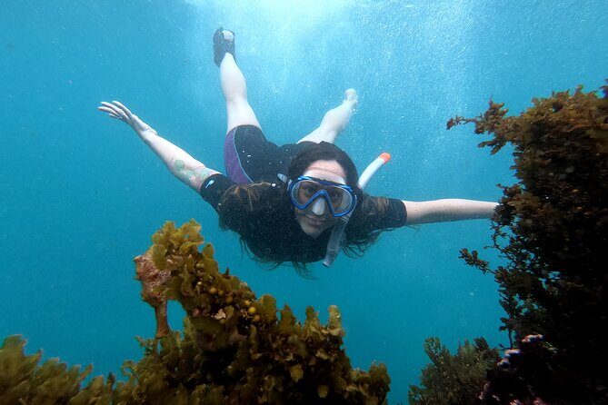 5 days excursion to Galapagos Islands with Snorkel and Volcanoes - Key Points