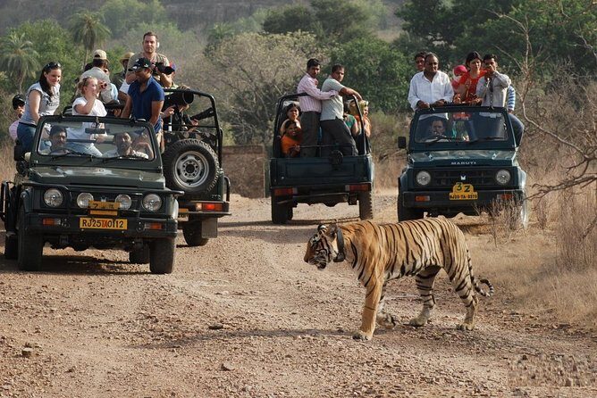 5 Days Golden Triangle Tour with Ranthambore Tiger Safari - A Close Look at the 5-Day Golden Triangle with Ranthambore Safari