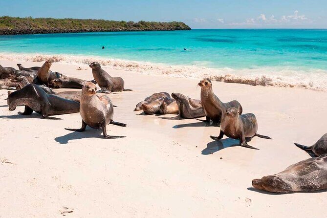 5 Days Guided Galapagos Adventure Trip - Key Points