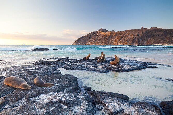 5 Days Guided Galapagos Adventure Trip - Practical Considerations and Value