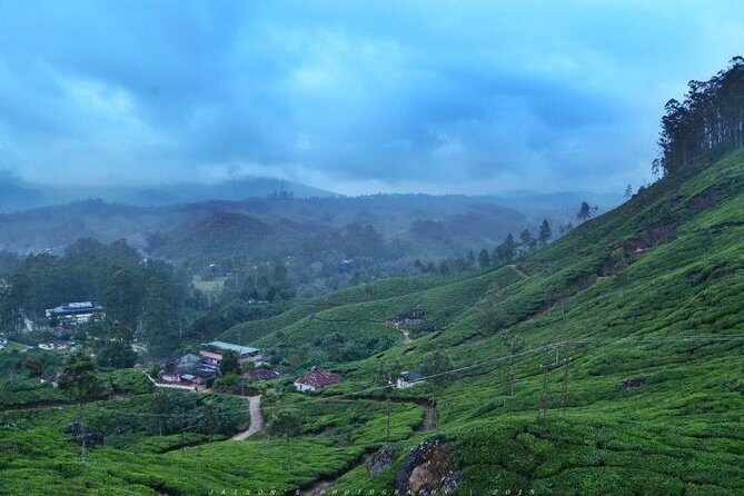 5 Days Kerala Tour Package With 4 Star Stays & Private Houseboat - Final Thoughts: Who Is This Tour Best For?