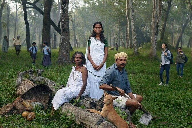 5 Days Kerala Tour with Private Car Houseboat Munnar and Thekkady - In-Depth Review of the 5 Days Kerala Tour with Private Car, Houseboat, Munnar, and Thekkady