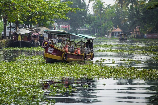 5 Days Kerala Tour with Private Car Houseboat Munnar and Thekkady - Final Thoughts