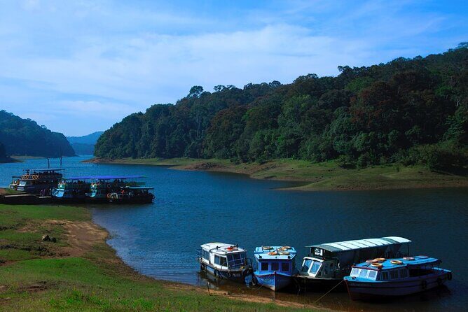 5 Days Luxury Kerala Tour with Houseboat Experience - Why This Tour Works for You