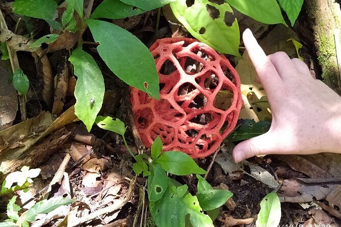 5 - Days Manu Jungle Tour with Hot Springs and Falls - Whats Included and Whats Not