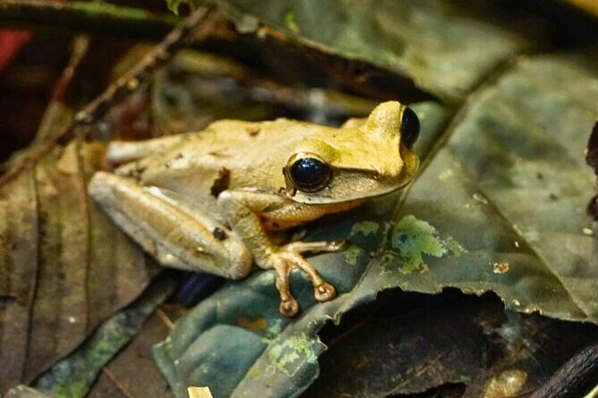 5 Days Manu Park Tour - Key Points