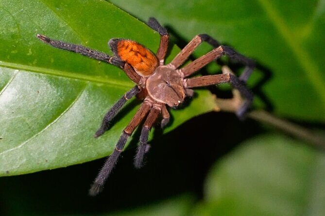 5 Days Manu Park Tour - Frequently Asked Questions