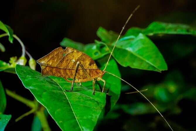 5 Days Manu Park Tour - Final Thoughts