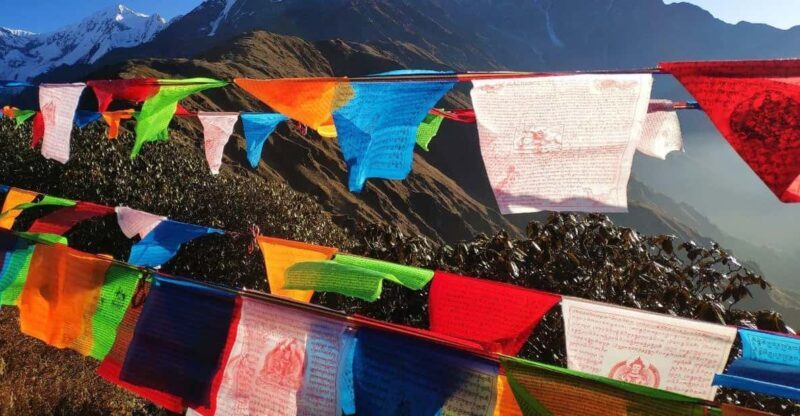 5 Days Mardi Himal Trek - The Basics: What to Expect on the Mardi Himal Trek