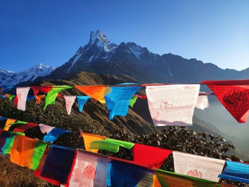 5 Days Mardi Himal Trek - How the Tour Works