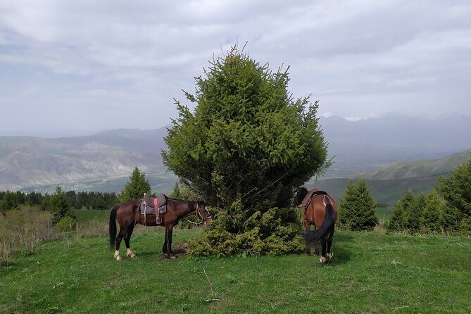 5 days Natural wonders of Issyk-Kul, Son-Kul and Chon-Kemin - Who Will Love This Tour?