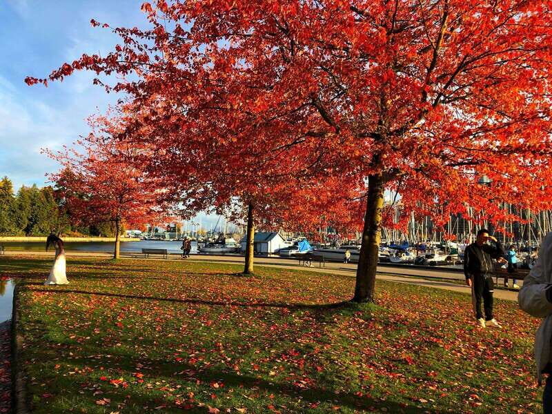 5 Days of Adventure in Vancouver  Activities-Only Tour - Key Points