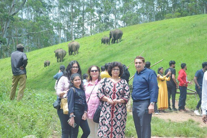 5-Days Private Kerala Tour with Sightseeing Tickets - Discovering Kerala: A 5-Day Deep Dive into Nature, Wildlife, and Culture