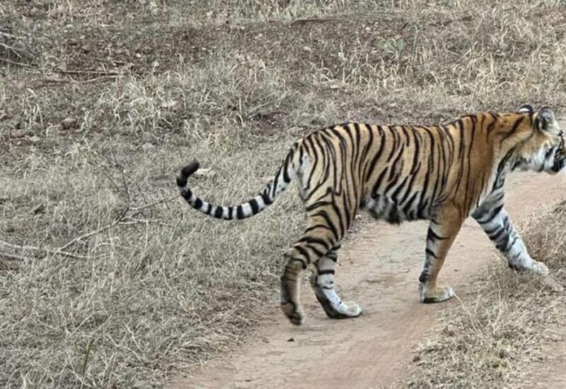 5-Days Private Luxury Golden Triangle Tour Agra Jaipur Delhi - Key Points