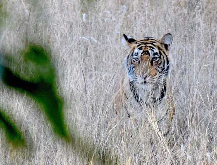 5-Days Private Luxury Golden Triangle Tour Agra Jaipur Delhi - Final thoughts