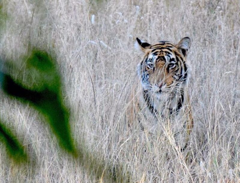 5-Days Private Luxury Golden Triangle Tour Agra Jaipur Delhi - FAQ