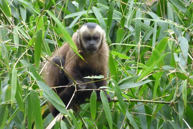 5-days Private Manu Jungle Tour with Waterfalls and Hot Springs - Frequently Asked Questions (FAQs)