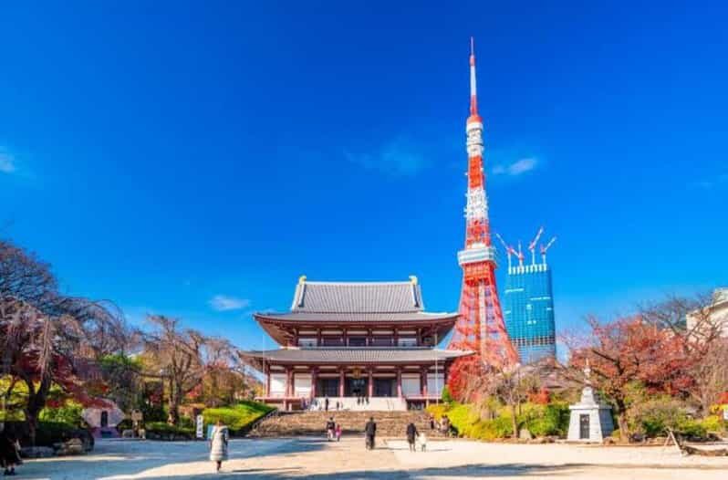 5-Days Private Tour Tokyo, Mt Fuji, Nikko, Hakone and Nagano - Detailed Itinerary and What to Expect