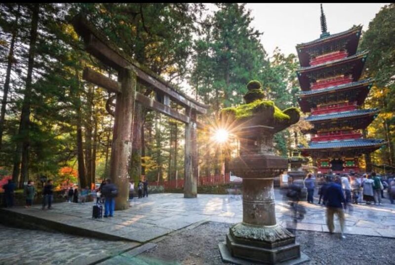 5-Days Private Tour Tokyo, Mt Fuji, Nikko, Hakone and Nagano - Final Thoughts