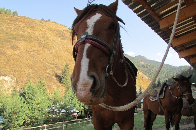 5 days sightseeing and skiing trip in Kyrgyzstan - Authentic Experiences and Genuine Reviews