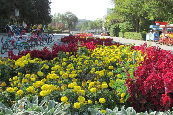 5 days sightseeing and skiing trip in Kyrgyzstan - Frequently Asked Questions