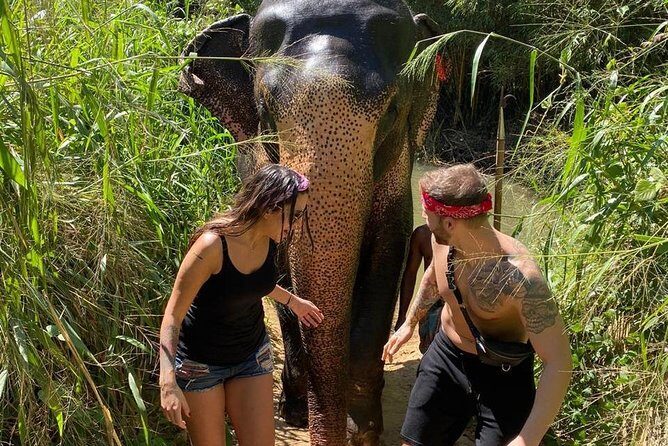 5 Days Tour in Sri Lanka (Hotels with Breakfast & Luxury Car) - A Deep Dive into the 5-Day Sri Lanka Tour