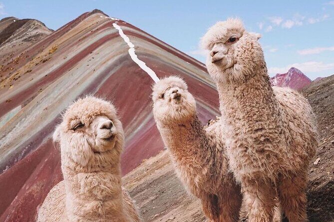 5 days tour to Machupicchu, Sacred Valley and Rainbow Mountain in small group - Why This Tour Works Well