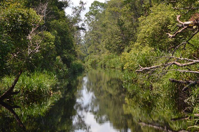 5 Days Truly Orangutan Wildlife Jungle Trail - Frequently Asked Questions