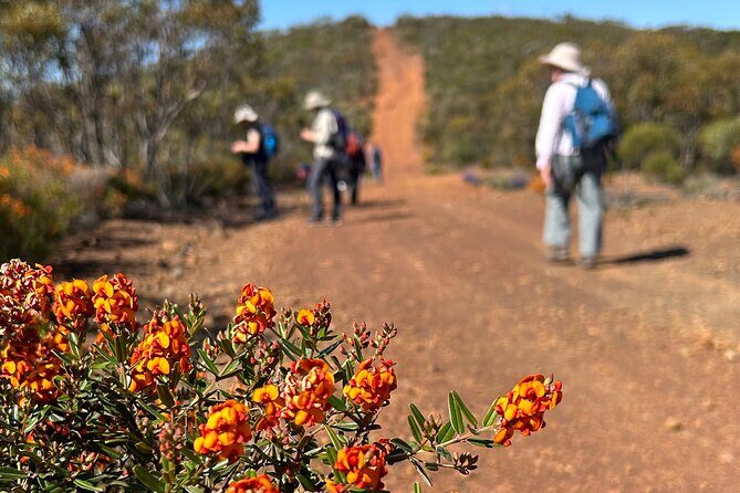 5 Days Walking with Wildflowers - Fitzgerald Biosphere - Authentic Experiences and Authentic Guides