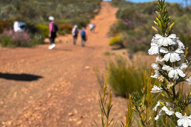 5 Days Walking with Wildflowers - Fitzgerald Biosphere - Who Would Love This Tour?