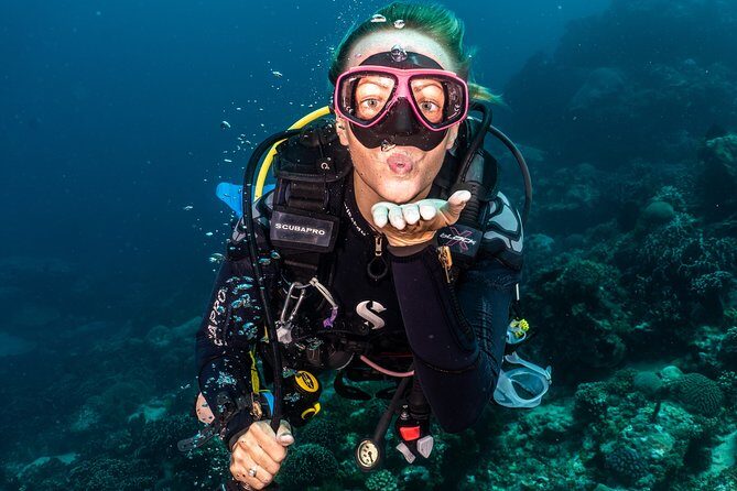 5 Fun Dives in Pemuteran (for certified divers) - Exploration in Menjangan Park - Diving in Pemuteran: What to Expect