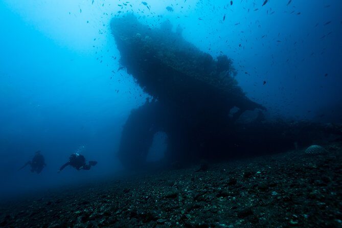 5 Fun Dives in Tulamben (for certified divers) - Discover famous diving sites - Key Points