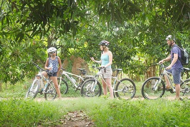 5-Hour Biking Tour in Mekong Island - What Makes This Tour Stand Out