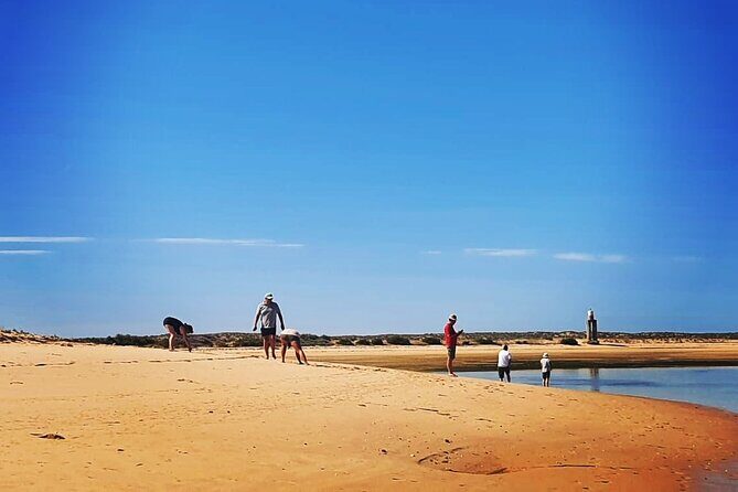 5 Hour Boat Tour in Ria Formosa - A Detailed Look at the Ria Formosa Boat Tour