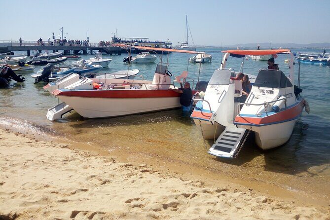 5 Hour Boat Tour in Ria Formosa - Who Should Book This Tour?