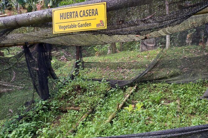 5-Hour Coffee and Pablo Express Mix Tour in Medellín - Final Thoughts