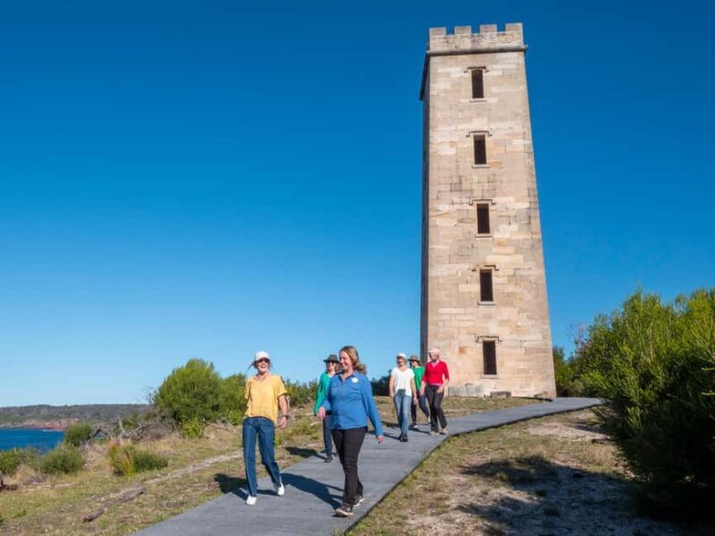 5-hour Eden Small Group Tour: Beaches, Lookouts and More - Final Thoughts