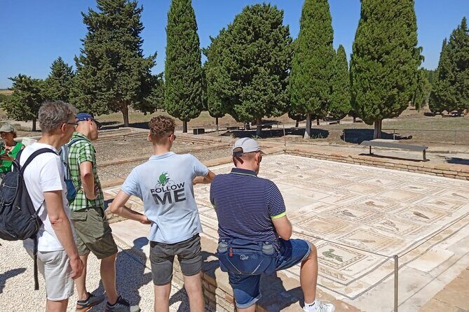 5 hour Electric Bike Tour to the Ruins of Italica - Key Points