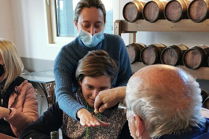 5-Hour Food and Wine Tasting in Modena - Who Will Love This Tour?
