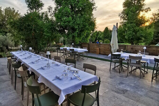 5-Hour Food and Wine Tasting in Modena - Final Thoughts