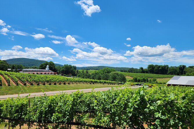 5 Hour Historic Thomas Jefferson Wine Tour - Discover Charlottesville’s Charm on the 5 Hour Historic Thomas Jefferson Wine Tour