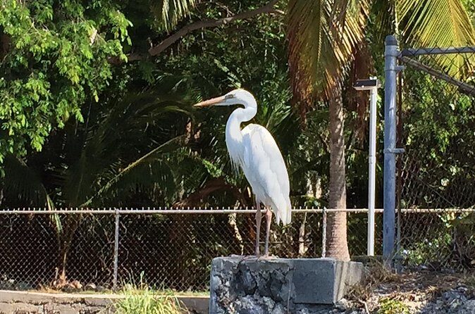 5 Hour Keewaydin Island Beach Tour - Who Would Love This Tour?