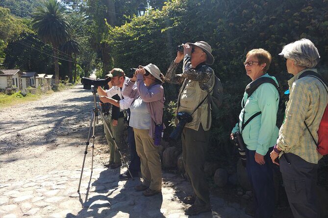5-Hour Private Birdwatching Experience in San Juan La Laguna - Exploring the Details of the Birdwatching Tour