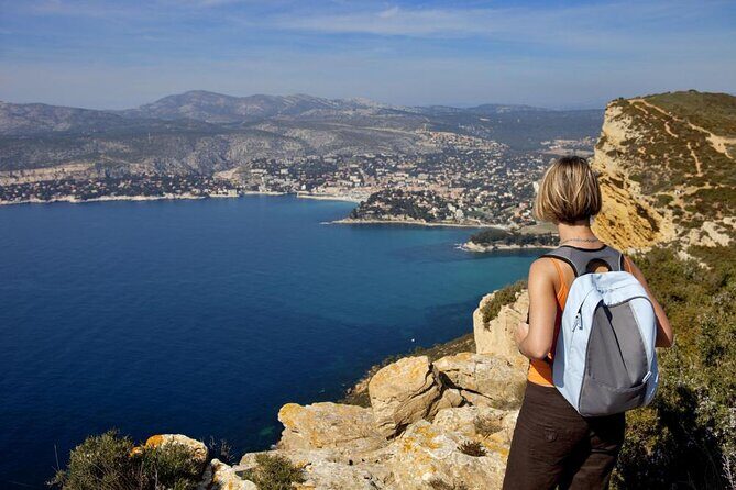 5-Hour Private Sightseeing Tour of the Provence from Marseille in Luxury Car - Who Should Consider This Tour?
