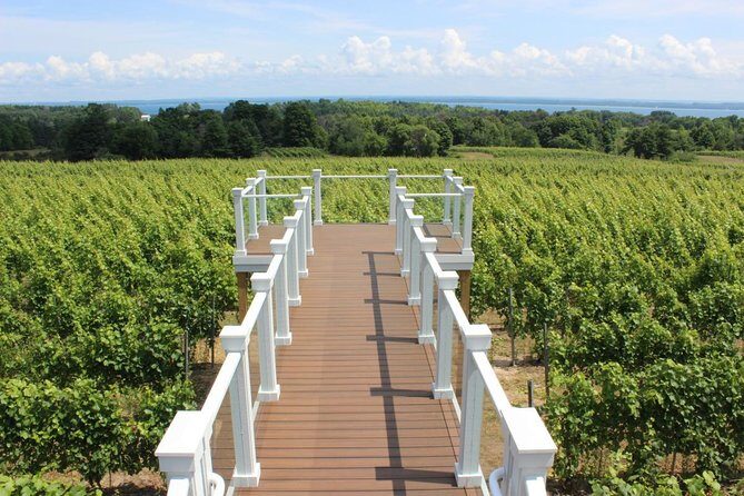 5-Hour Traverse City Wine Tour: 4 Wineries on Old Mission Peninsula - Wrapping Up