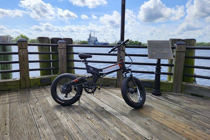 5-Hour Wilmington River to Sea E-Bike Self-Guided Adventure Tour - Who Should Consider This Tour