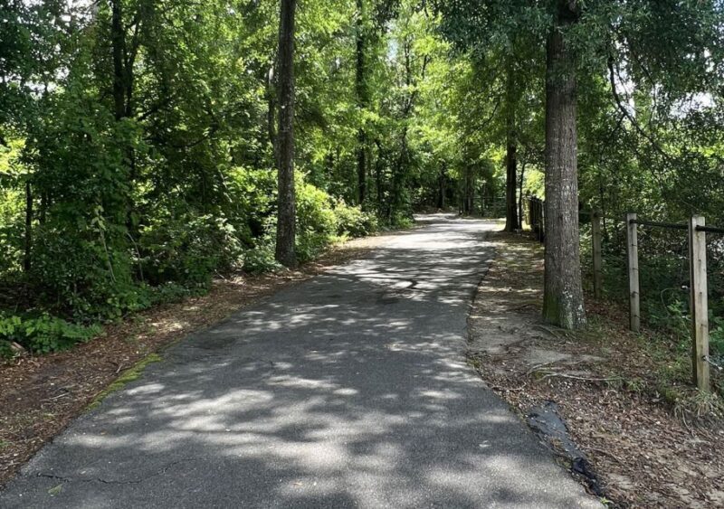 5-Hour Wilmington River to Sea E-Bike Self-Guided Tour - Final Thoughts