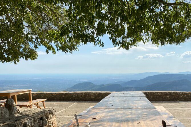 5 hours Mallorca hiking tour in Castell d Alaro - Who Is This Tour Best For?