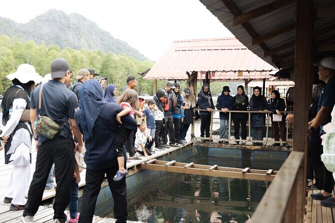 5 Hours Mangrove Boat Tour in Langkawi - The Practicalities: What You Need to Know