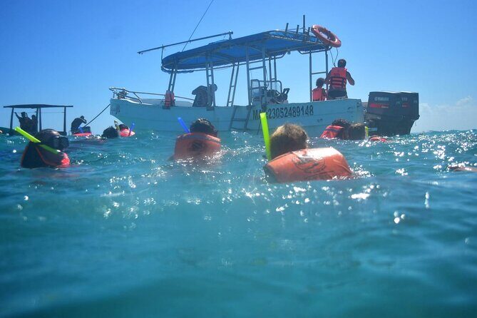 5 Hours Mayan Snorkeling Experience in Tulum - Who Should Consider This Tour?